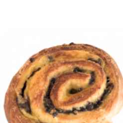 Low Carb Vanilla Roll with Dark Chocolate Chips