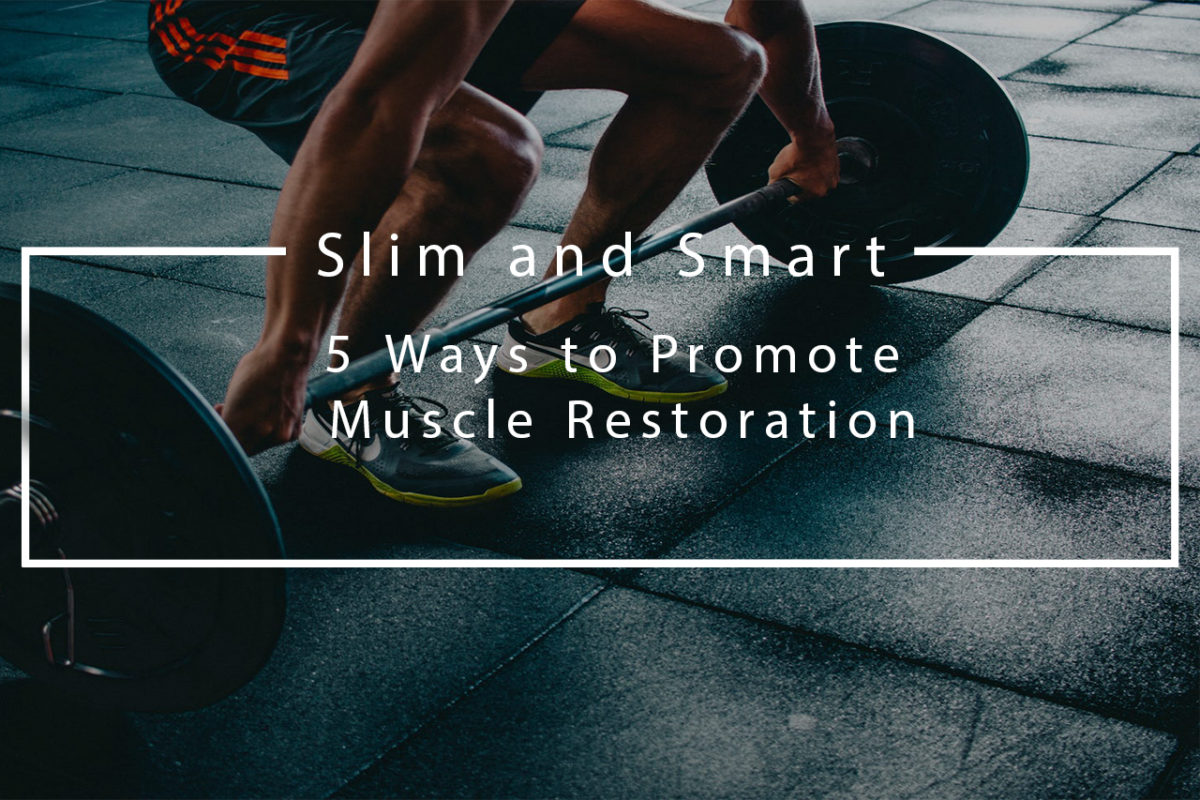 muscle restoration